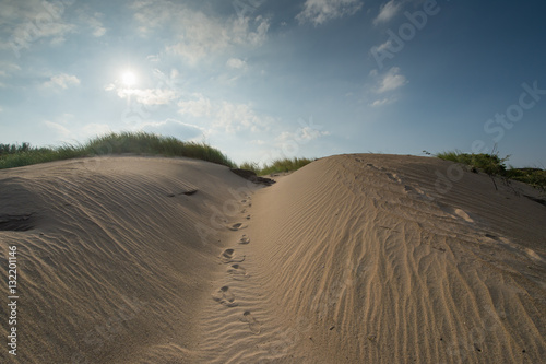 Sand desert surface dunes