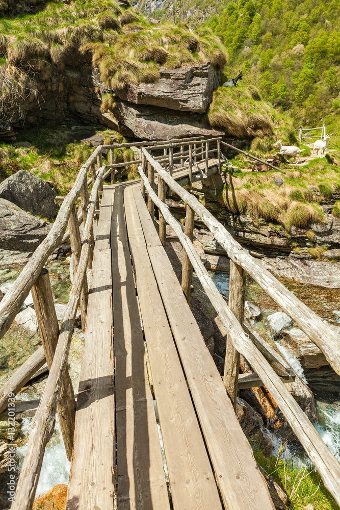 view of the wood bridge