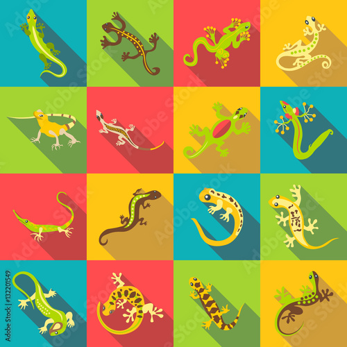 Different lizard icons set. Flat illustration of 16 different lizard vector icons for web
