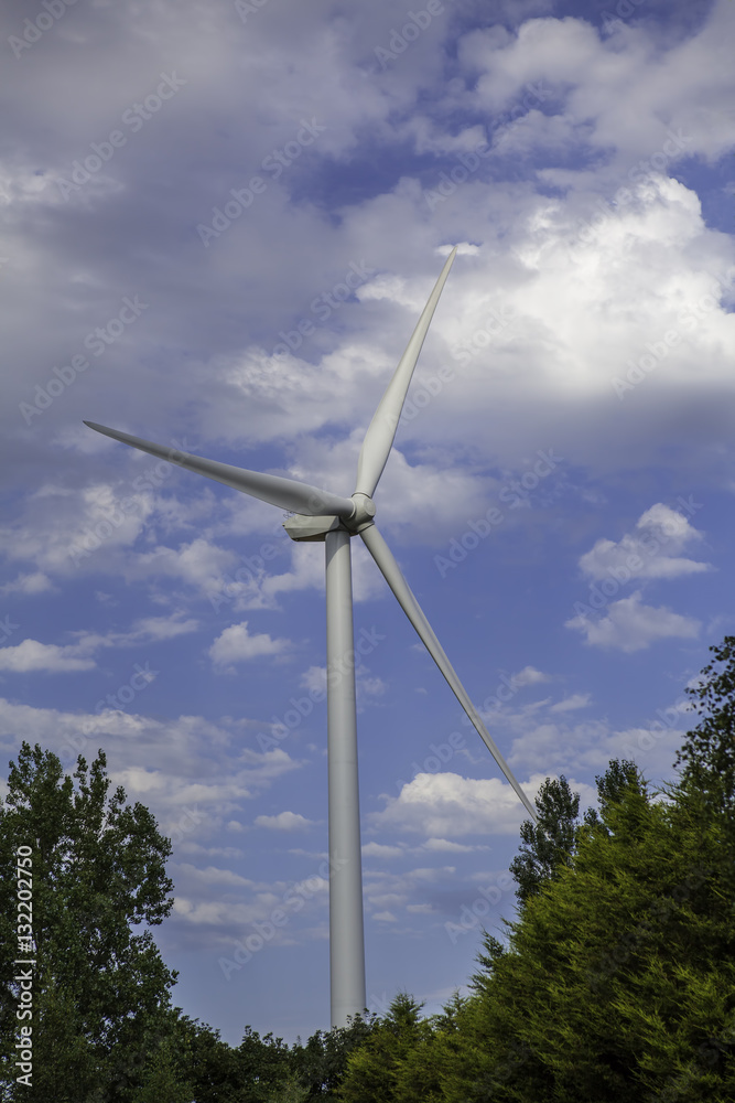 Technology and Nature. Wind turbine above a forest canopy Technology and Nature. Wind turbine above a forest canopy