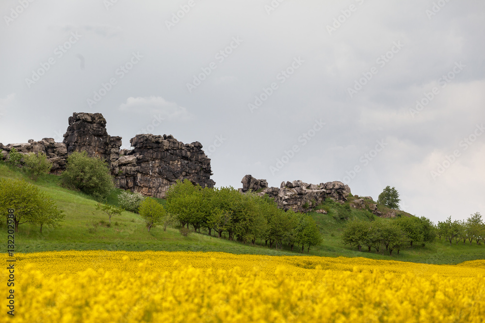 Teufelsmauer mit gelben Rapsfeld Harz