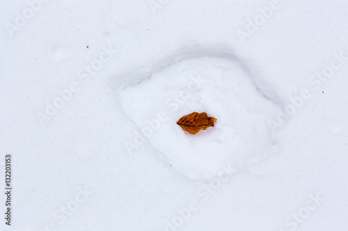 Big cavity on the snow surface from the small fallen oak leaf. © stone36