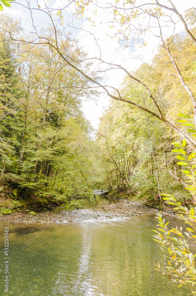 Noiraigue, Val de Travers, Jura, Areuse, Fluss, Areuseschlucht, Schlucht, Wald, Wanderweg, Herbstfarben, Herbstwanderung, Herbst, Schweiz Noiraigue, Val de Travers, Jura, Areuse, Fluss, Areuseschlucht, Schlucht, Wald, Wanderweg, Herbstfarben, Herbstwanderung, Herbst, Schweiz
