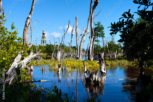 Photography Lighthouse and mangroves in Cayo Jutias, Province Pinar del Rio, Cuba