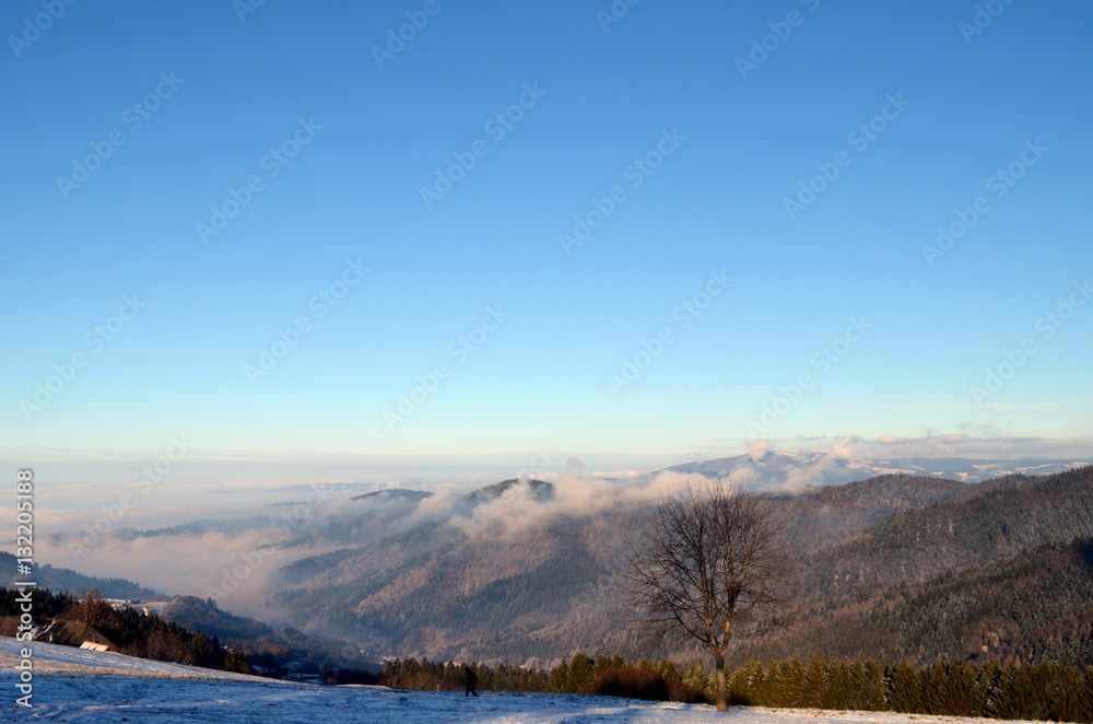 Fototapeta premium Blick vom Geiersnest im Winter