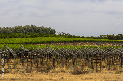 Vineyard cultivation in rural South Australia is  well suited to the temperate climate in the region