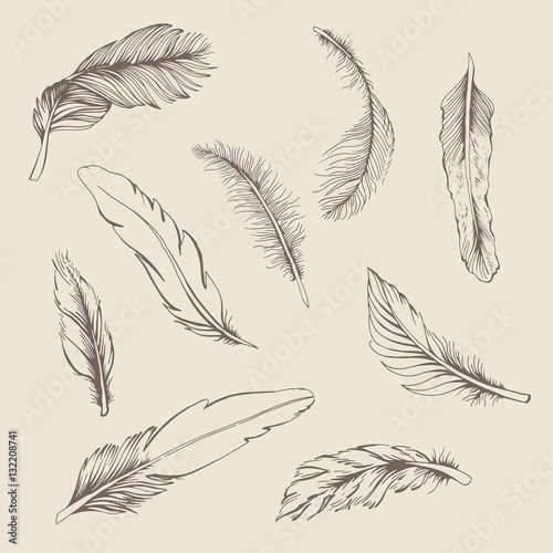set of feather