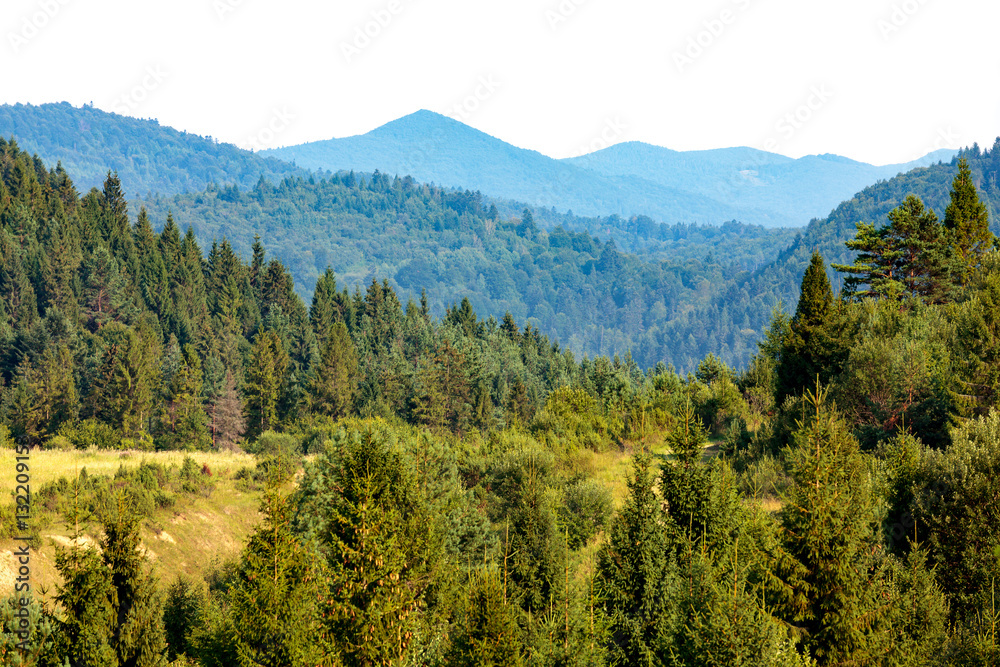 Green mountain landscape