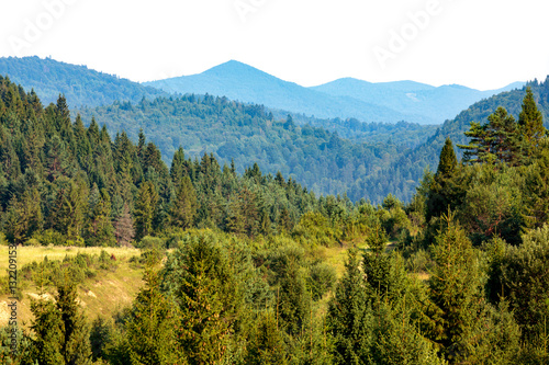 Green mountain landscape