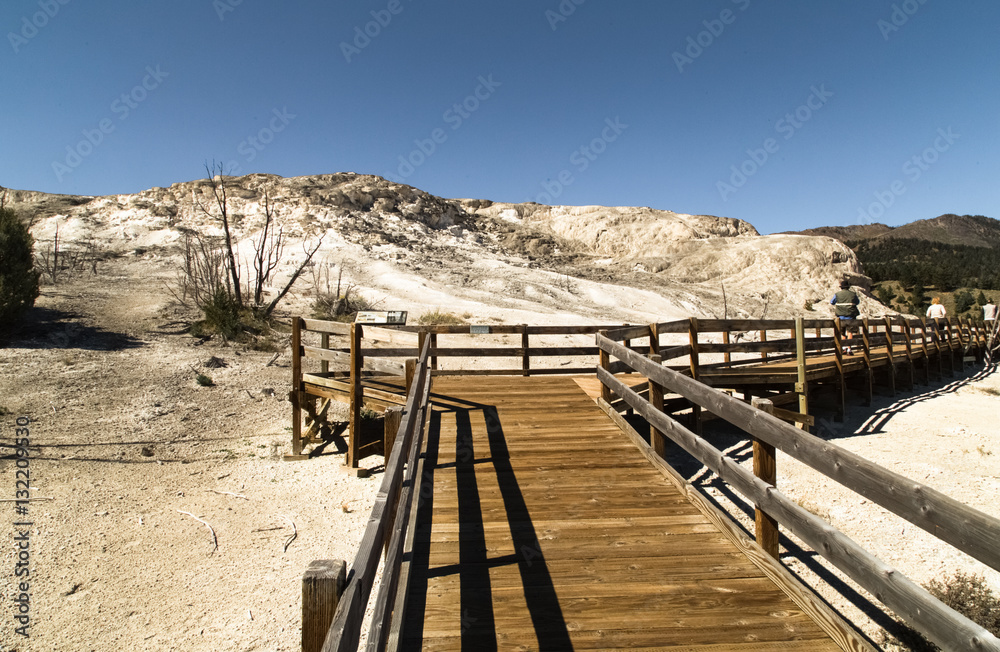 Wooden walk path.Yellowstone National park.WY.USA Wooden walk path.Yellowstone National park.WY.USA