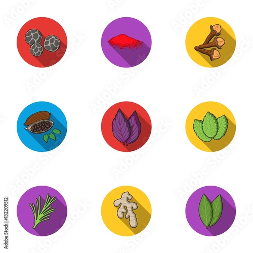 Herb and spices set icons in flat style. Big collection of herb and spices vector symbol stock illustration