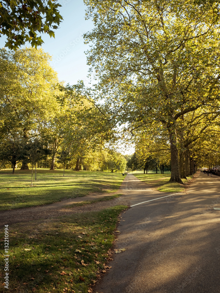 Naklejka premium City park on sunny day