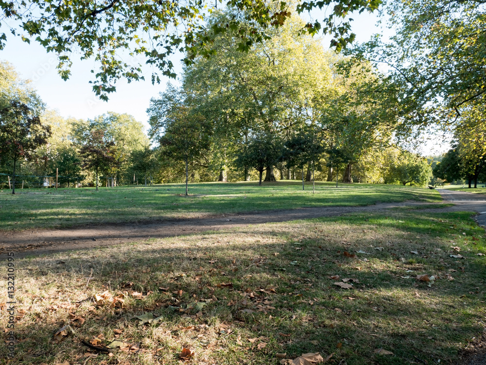Obraz premium Empty park in the morning