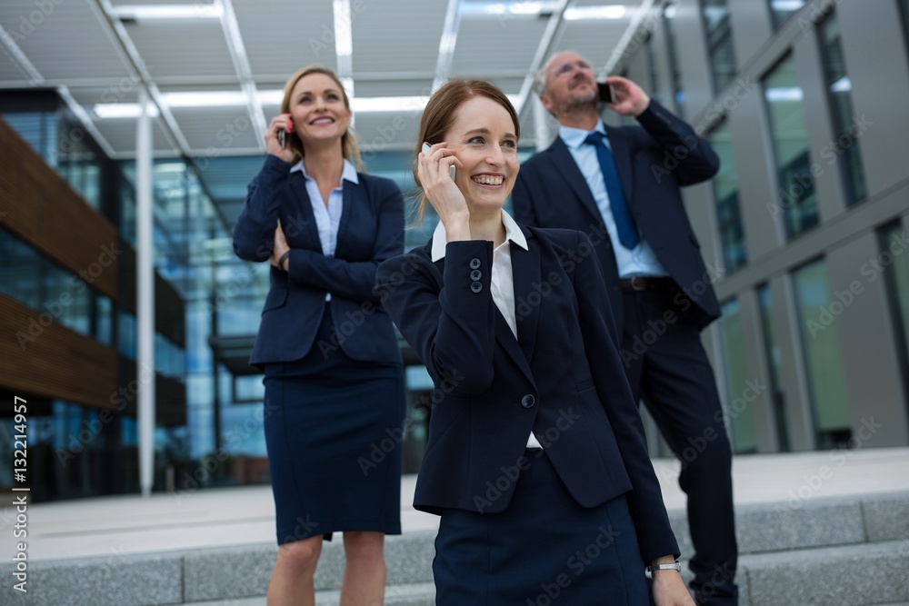 Fototapeta premium Businesspeople talking on mobile phones