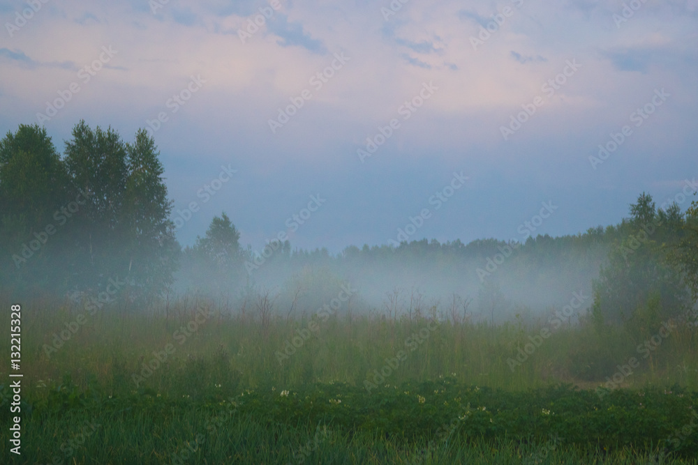 Fog under meadow rural landscape Russia