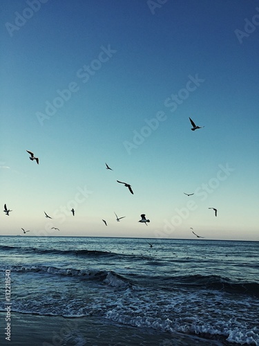sea ​​sunset and flying seagulls © Kaplun Arthur