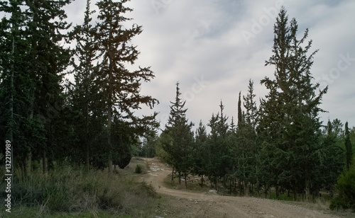 Ben Shemen Forest, Israel photo