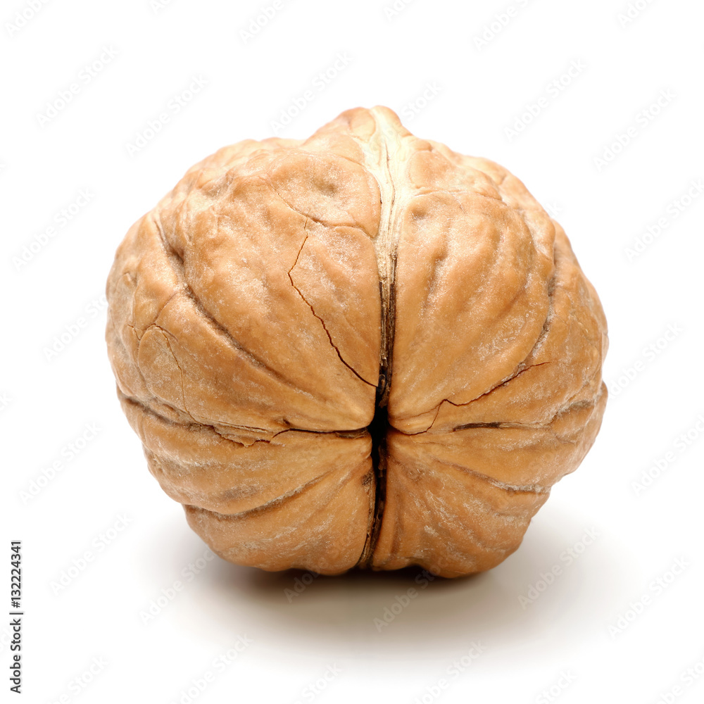 Whole walnut isolated Whole walnut isolated