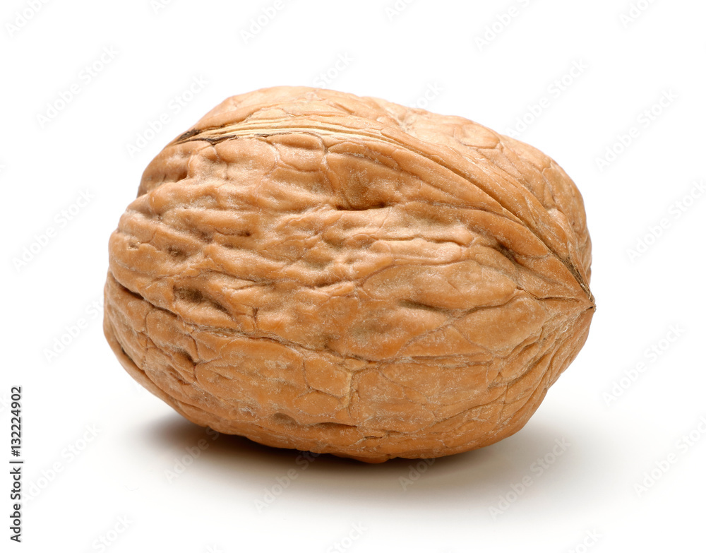 Whole walnut isolated Whole walnut isolated