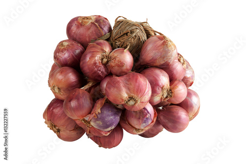 shallots growing Isolated
