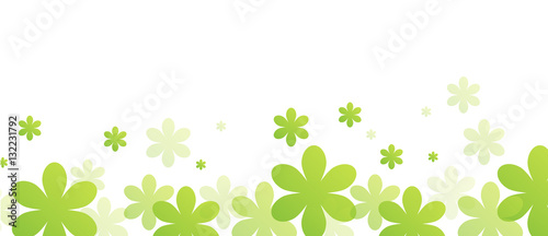 primavera, estate, fiori, sfondo