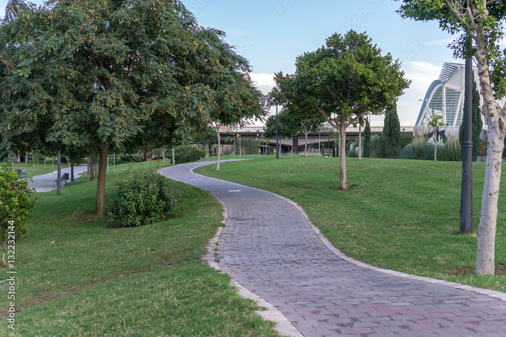 Bike lane between trees in Jardin del Turia in Valencia Spain. Tile cycleway on the grass, bikeway for cyclists only