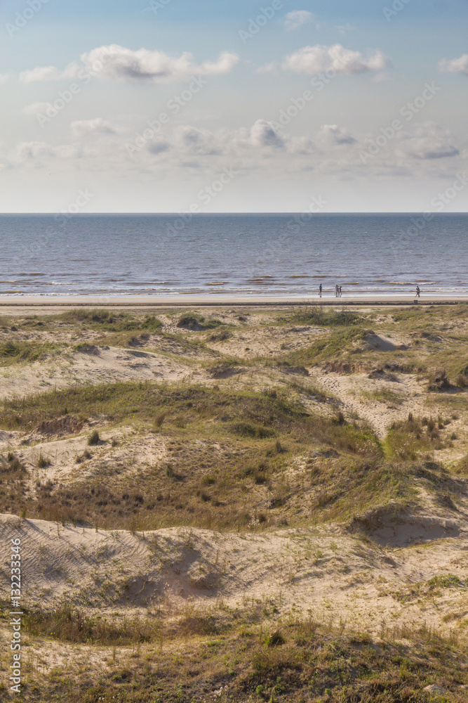 Dunes, vegetation and beach at Cassino beach