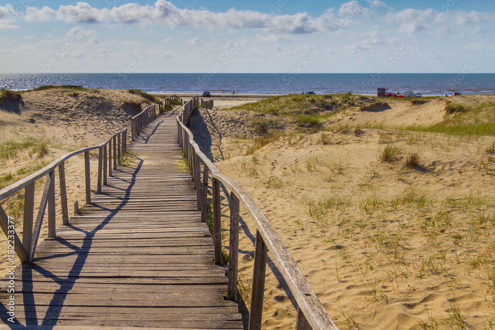 Fototapeta premium Wood bridge over dunes, vegetation and ocean in background