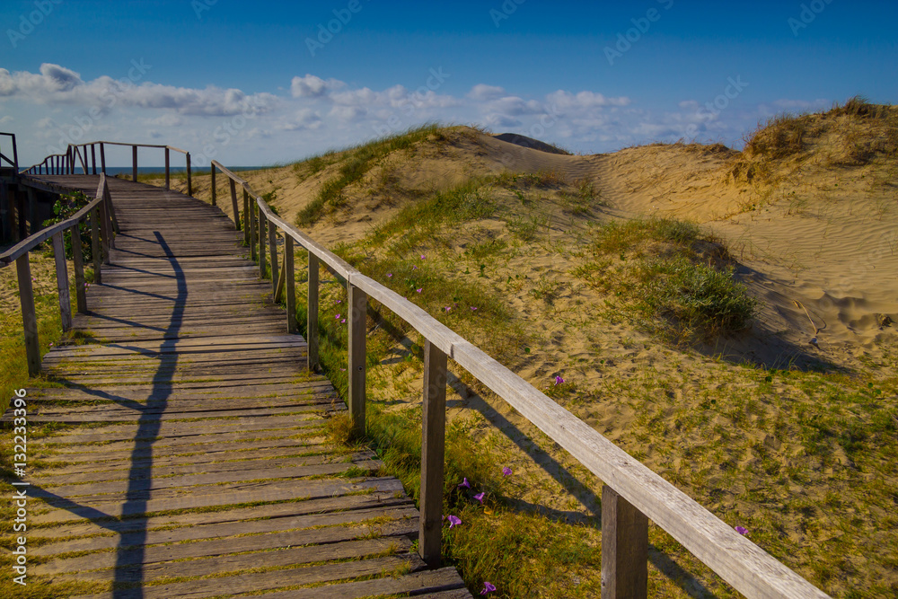 Wood bridge over dunes, vegetation and ocean in background