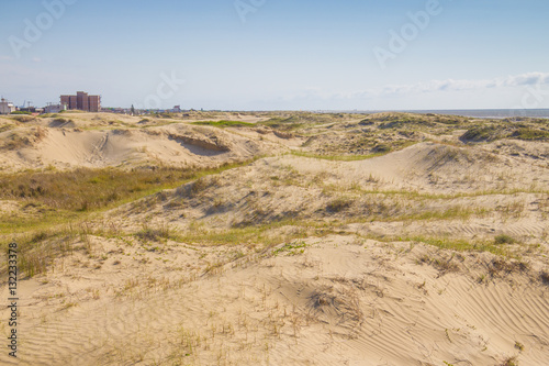 Dunes, vegetation and buildings at Cassino beach
