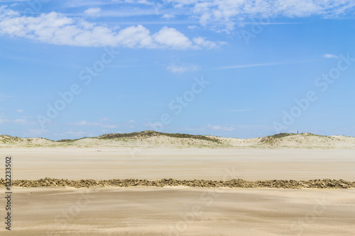 Dry over wet sand  and dunes in Cassino beach