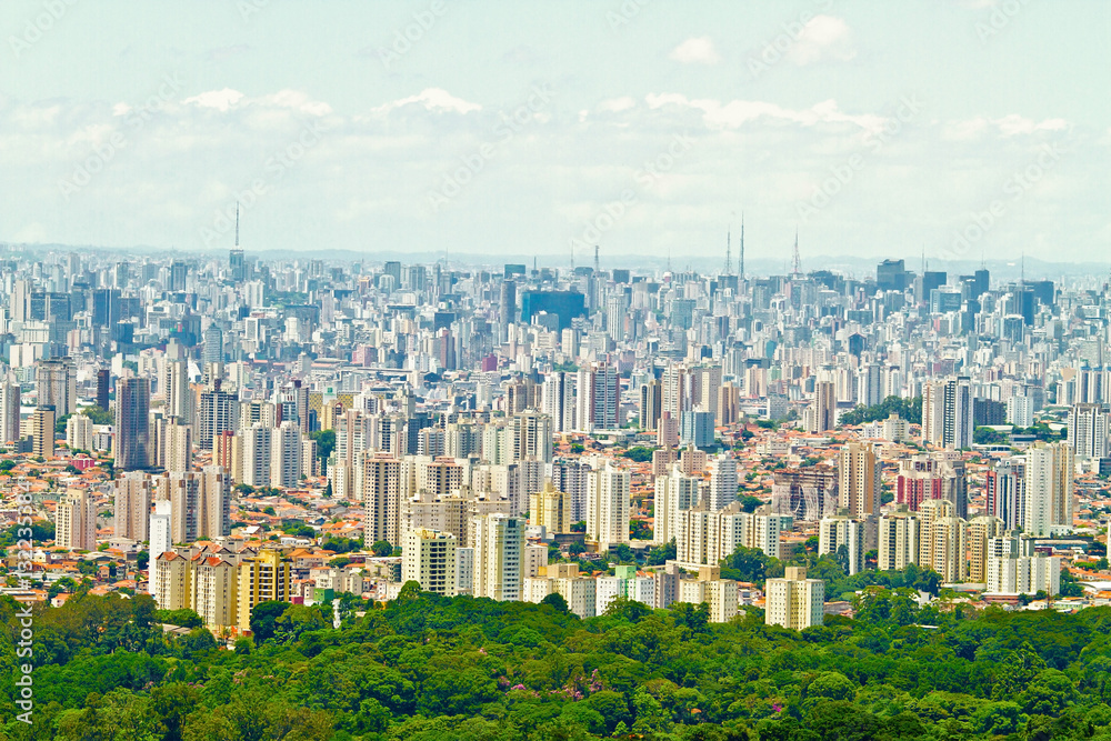 Buildings seen from a hill of trees, in the Sao Paulo, Brazil