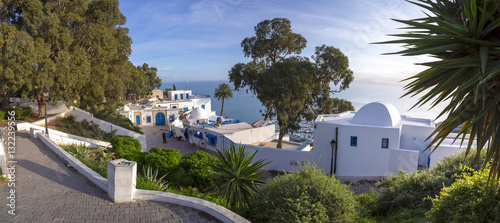 Canvas Print Traditional ornamental Tunisian door, detail from typical Mediterranean Arabic a