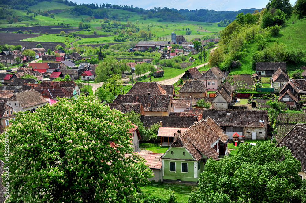 Houses in the typical town of Transylvania