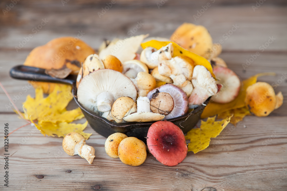 mushrooms on a table, selective focus mushrooms on a table, selective focus