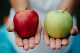 colorful picture of female hands with green and red apple.