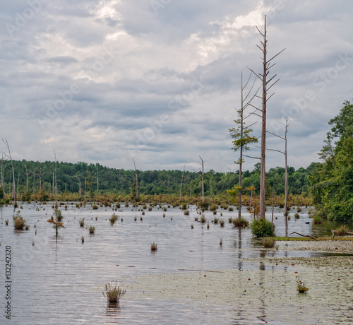 Canvas Print Lake Jackson in South Alabama USA, storm clouds reflection in the water with swa
