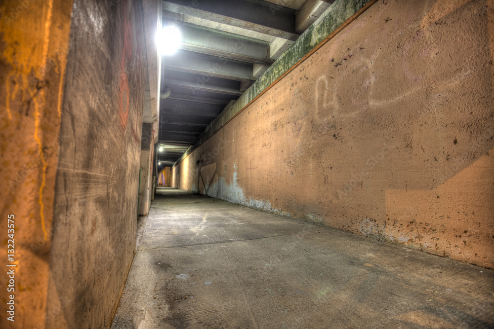 Fototapeta premium Abandonded Tunnel