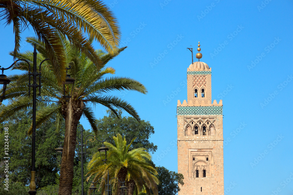 Palmtrees and a mosque in Marrakesh, Morocco