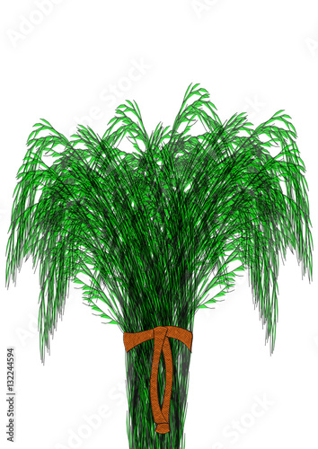 bouquet d'herbes folles sauvages,concept de campagne verte