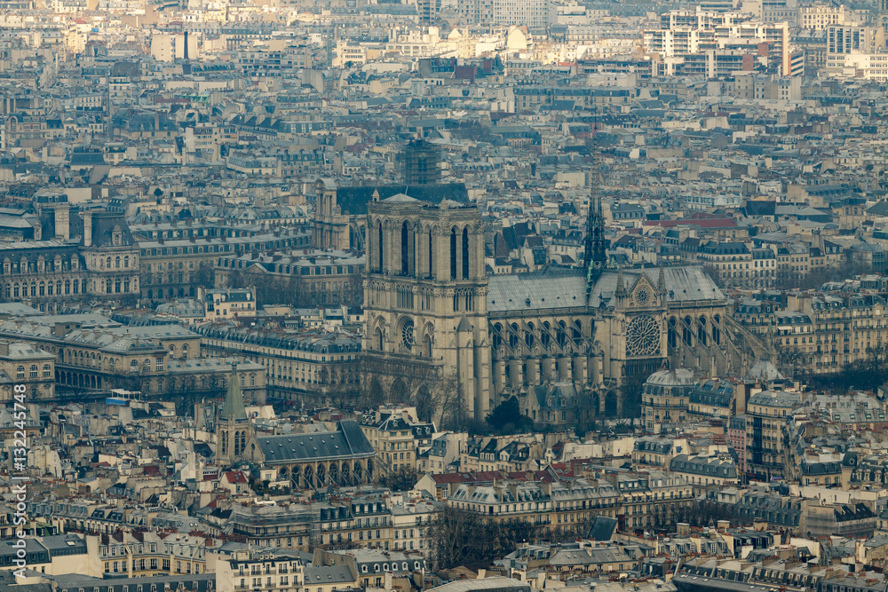View from top on Notre Dame de Paris