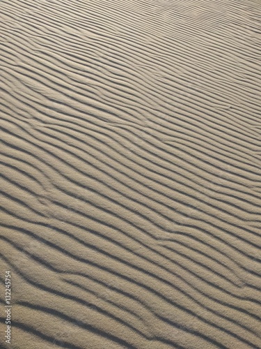 Sand Dunes in Desert