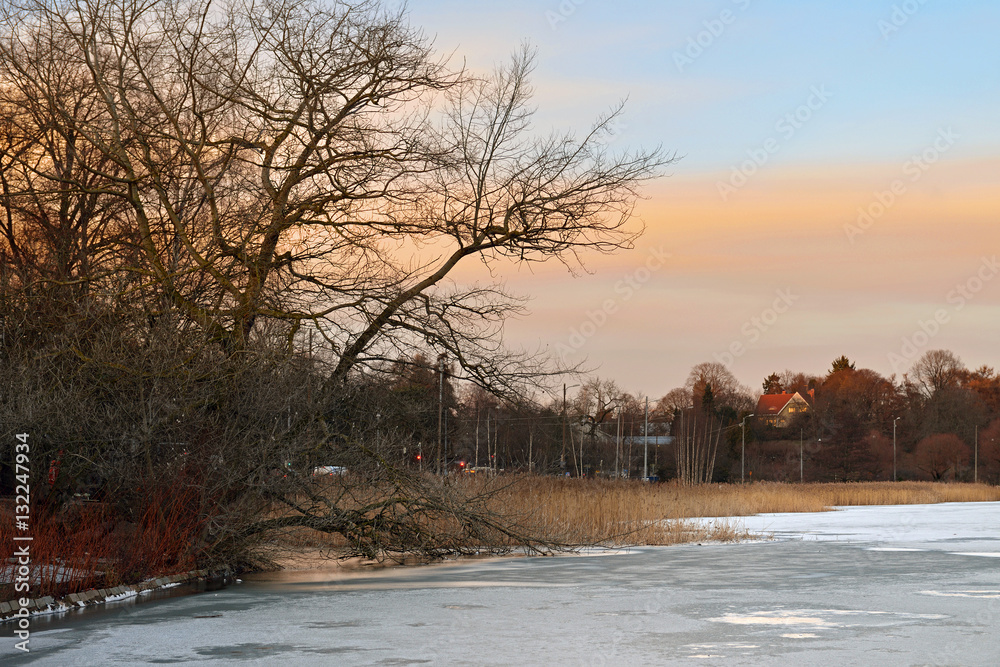 Sunset in Hesperia park, Helsinki, Finland