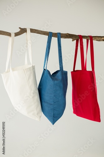 Colorful bags hanging on a tree branch