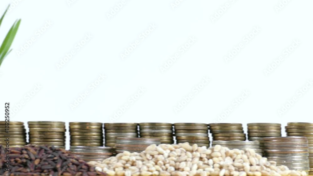 Barbados flag waving with stack of money coins and piles of wheat and rice seeds