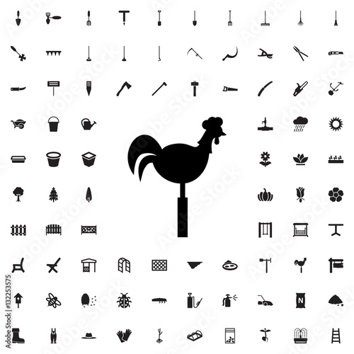 weather vane icon illustration