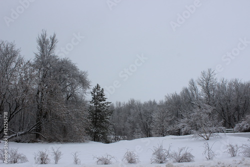 Winter Landscape in Quebec © pegase1972