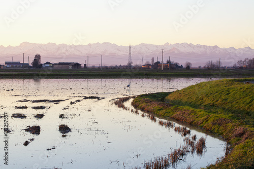 Fototapeta Naklejka Na Ścianę i Meble -  Rice field with heron and mountains