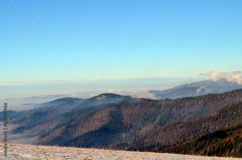 Schwarzwaldpanorama im Winter
