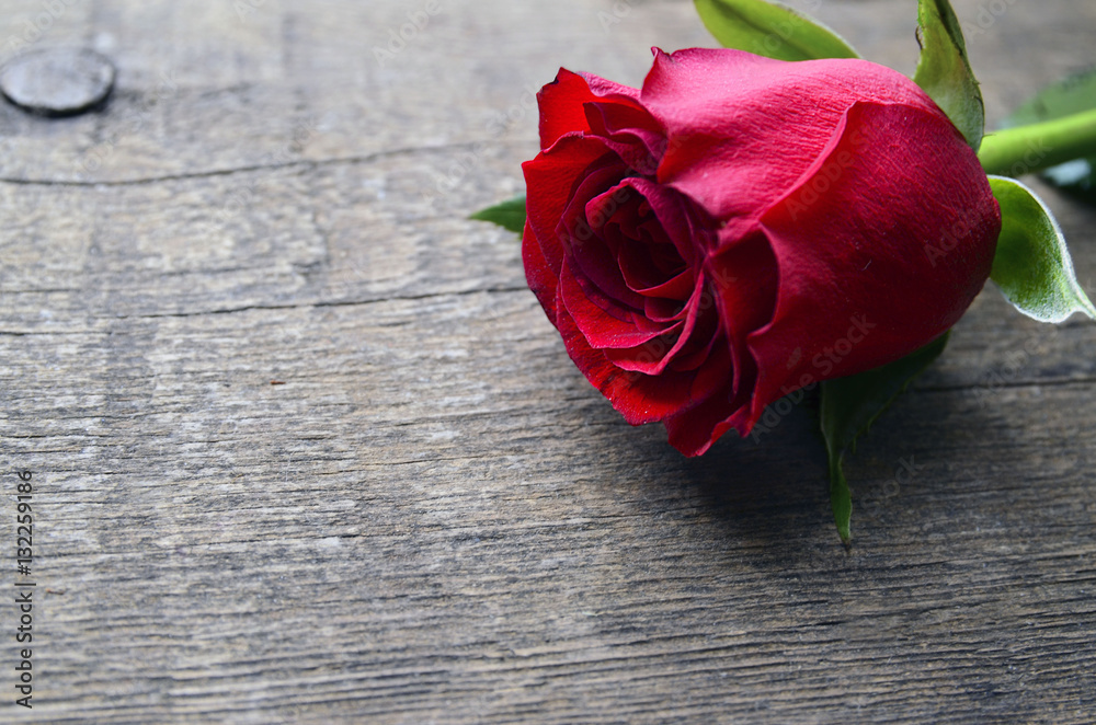 Rose on old wooden background for Valentine's Day with copy space.Valentine rose.St.Valentines Day,14 february concept.Selective focus.
Rose on old wooden background for Valentine's Day with copy space.Valentine rose.St.Valentines Day,14 february concept.Selective focus.